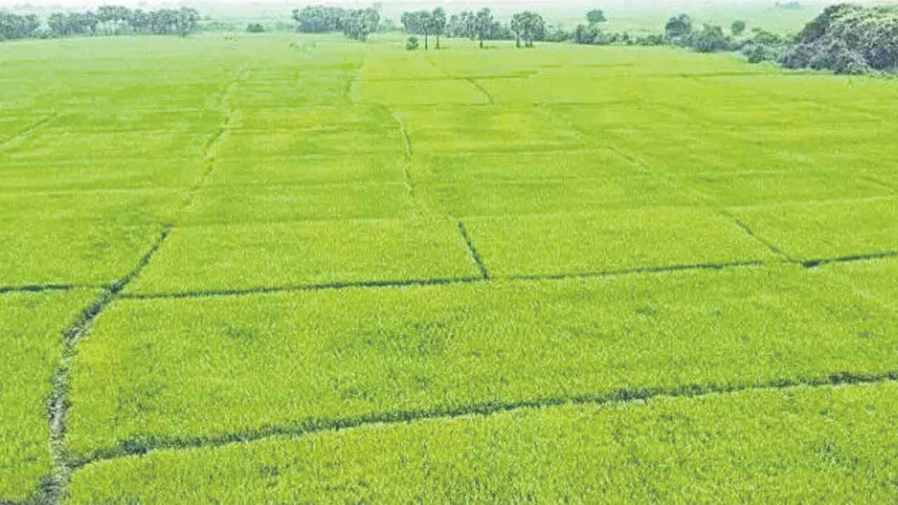 అభివృద్ధి ముందు అప్పులు ఎంత?