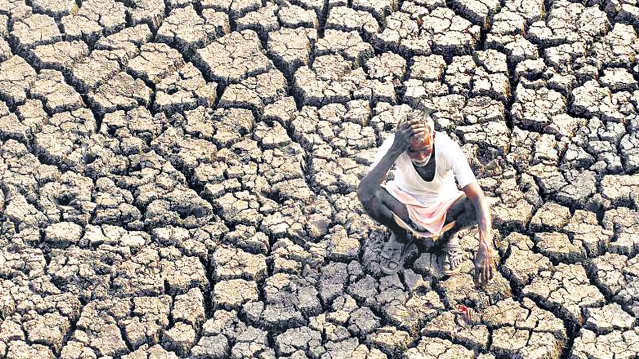 మా సీమకూ కేసీఆర్‌ కావాలి