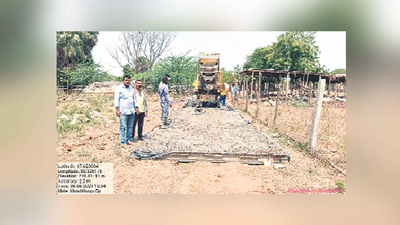 మొండితోగు మహర్దశ