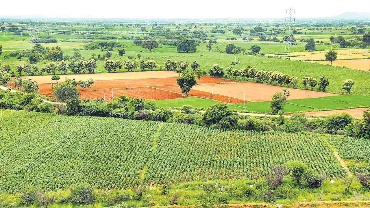 PRLIS | పాలమూరు ఎత్తిపోతలతో మారనున్న ఉమ్మడి మహబూబ్‌నగర్‌ స్వరూపం.. 20 ఎకరాలకు అందనున్న సాగునీరు