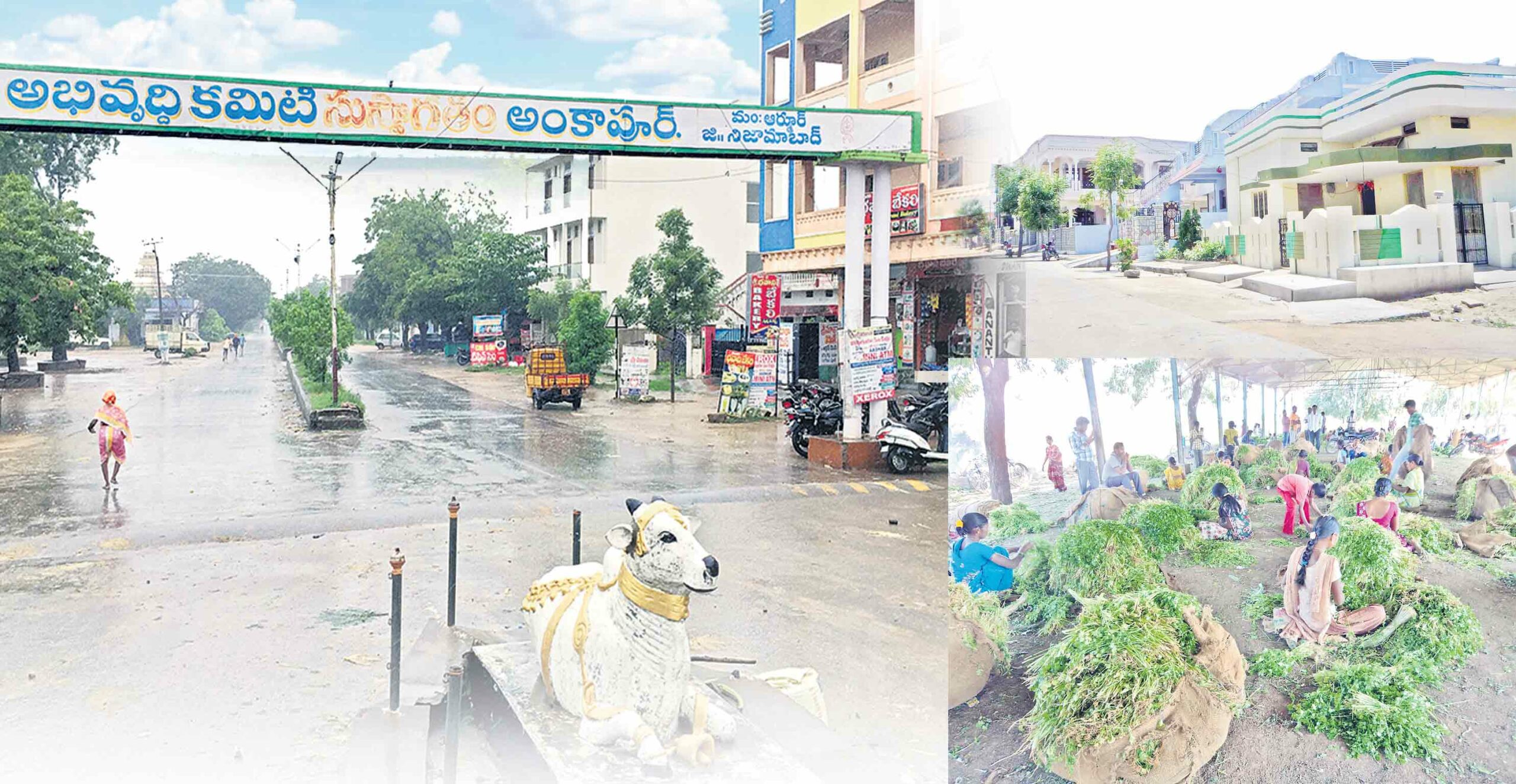 సీడ్ బౌల్ ఆఫ్ తెలంగాణ అంకాపూర్