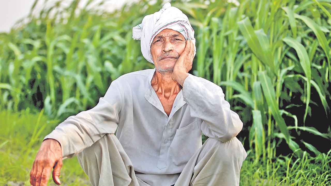 ICRIER |  కేంద్రం అనాలోచిత నిర్ణయంతో రైతులకు 45 వేల కోట్ల నష్టం.. ఐసీఆర్‌ఐఈఆర్‌ నివేదికలో సంచలన విషయాలు