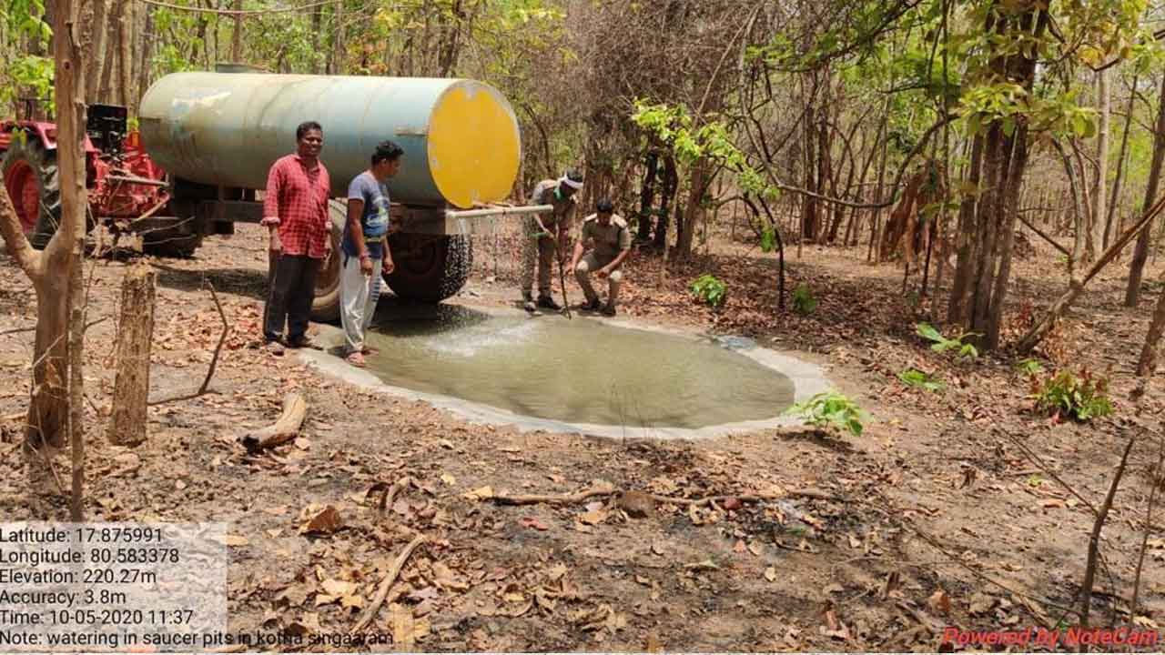 పులకరిస్తున్న పుడమితల్లి