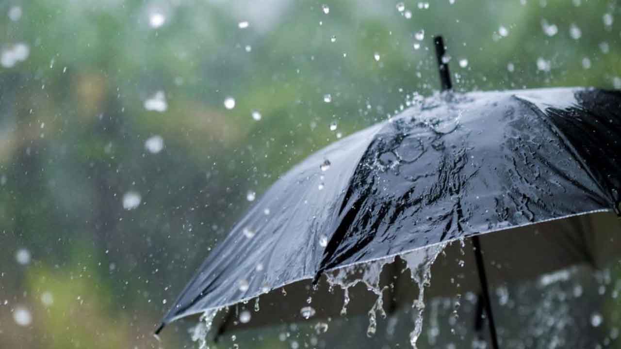 చురుగ్గా రుతు పవనాలు