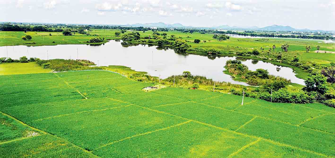 చేవనిచ్చి నీళ్లు చేతినిండా పనులు