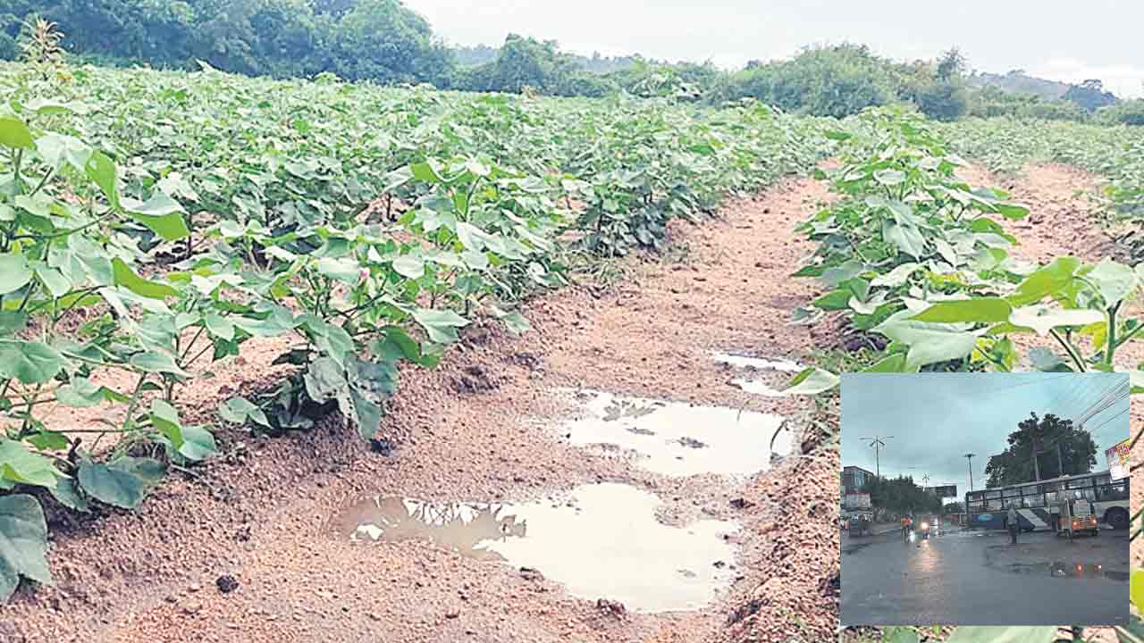 పంటకు ప్రాణం