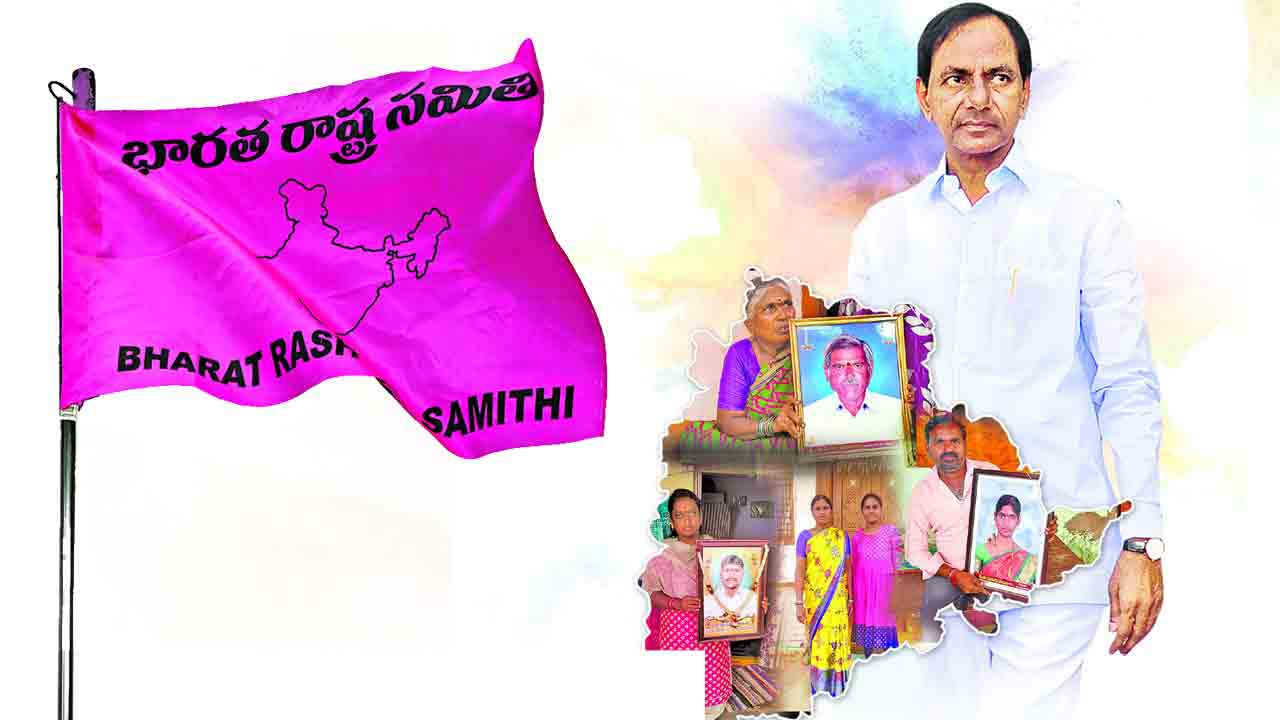 బీమాతో.. భరోసానిచ్చి..