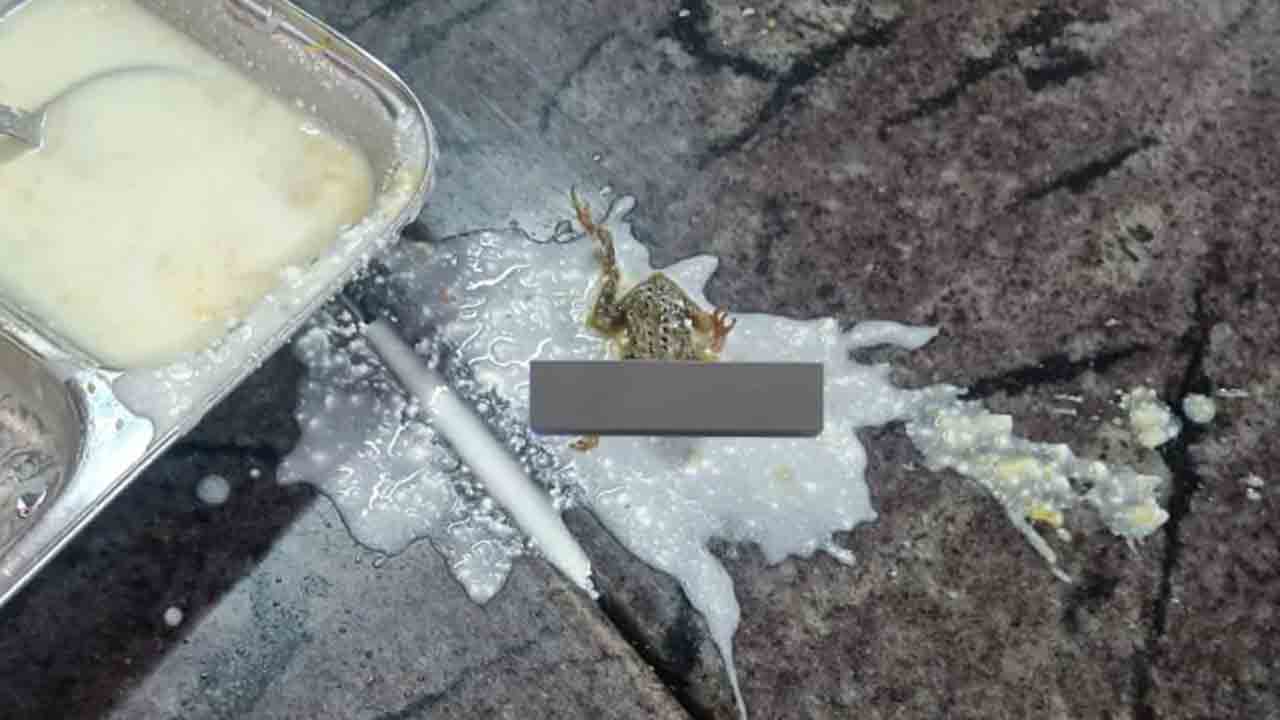 Dead Frog In Hostel Food | హాస్టల్‌ ఫుడ్‌లో చచ్చిన కప్ప.. విద్యార్థులు షాక్‌