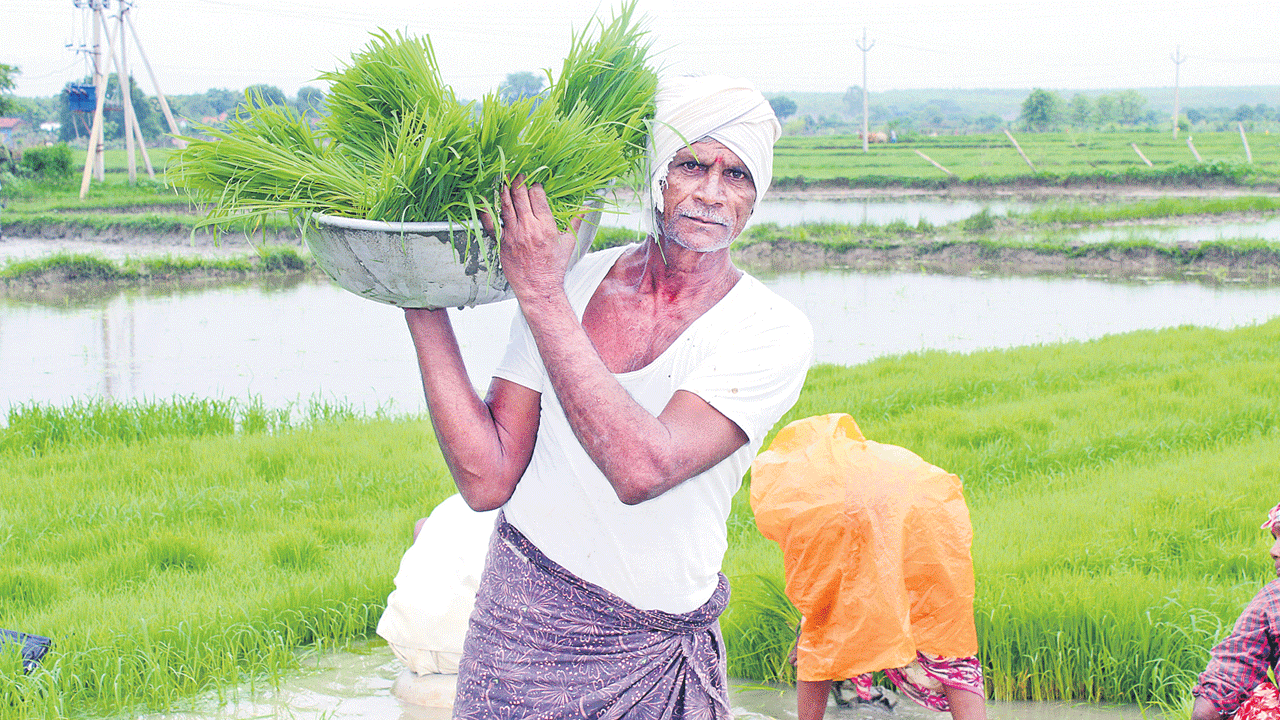 Farmer