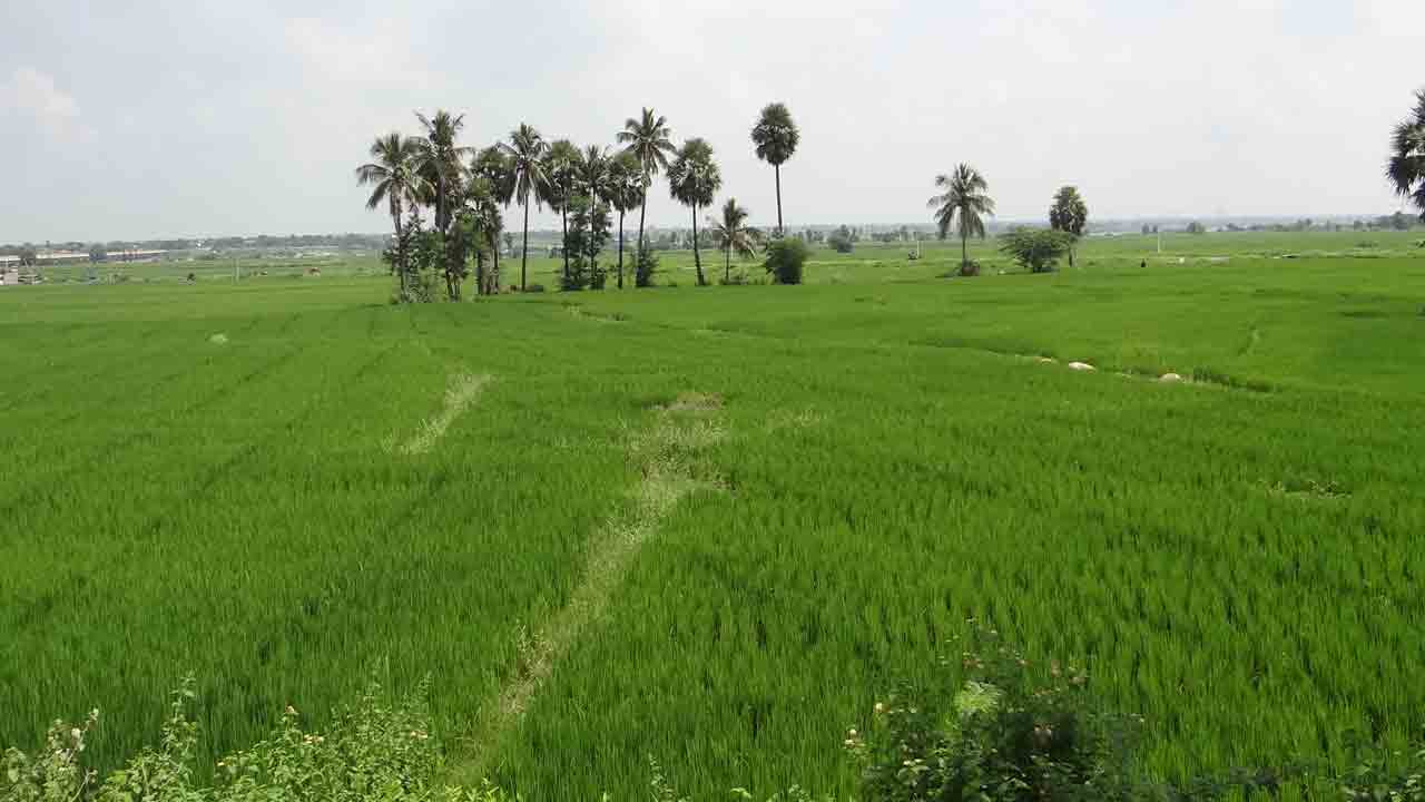 వ‌రికి ఊపిరిలూదుతున్న ఉచిత విద్యుత్‌