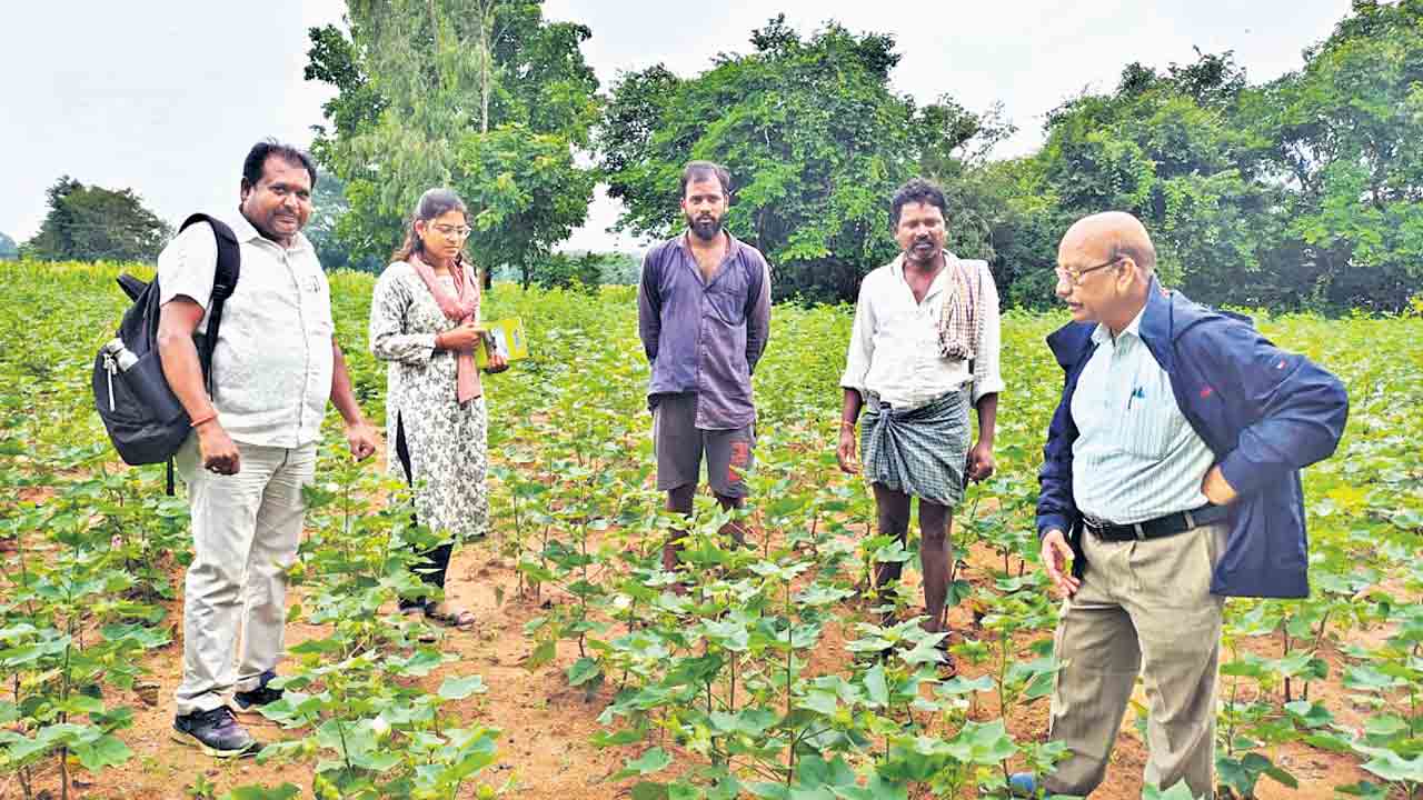 తుదిద‌శ‌కు సాగు స‌ర్వే