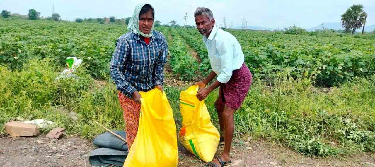 Telangana |  మొన్నటి వరకు నీటి కోసం అరిగోస..  ఇప్పుడు ఎటుచూసినా జలధారలు,  పచ్చదనంతో తొణికిసలాడుతున్న పంటలు