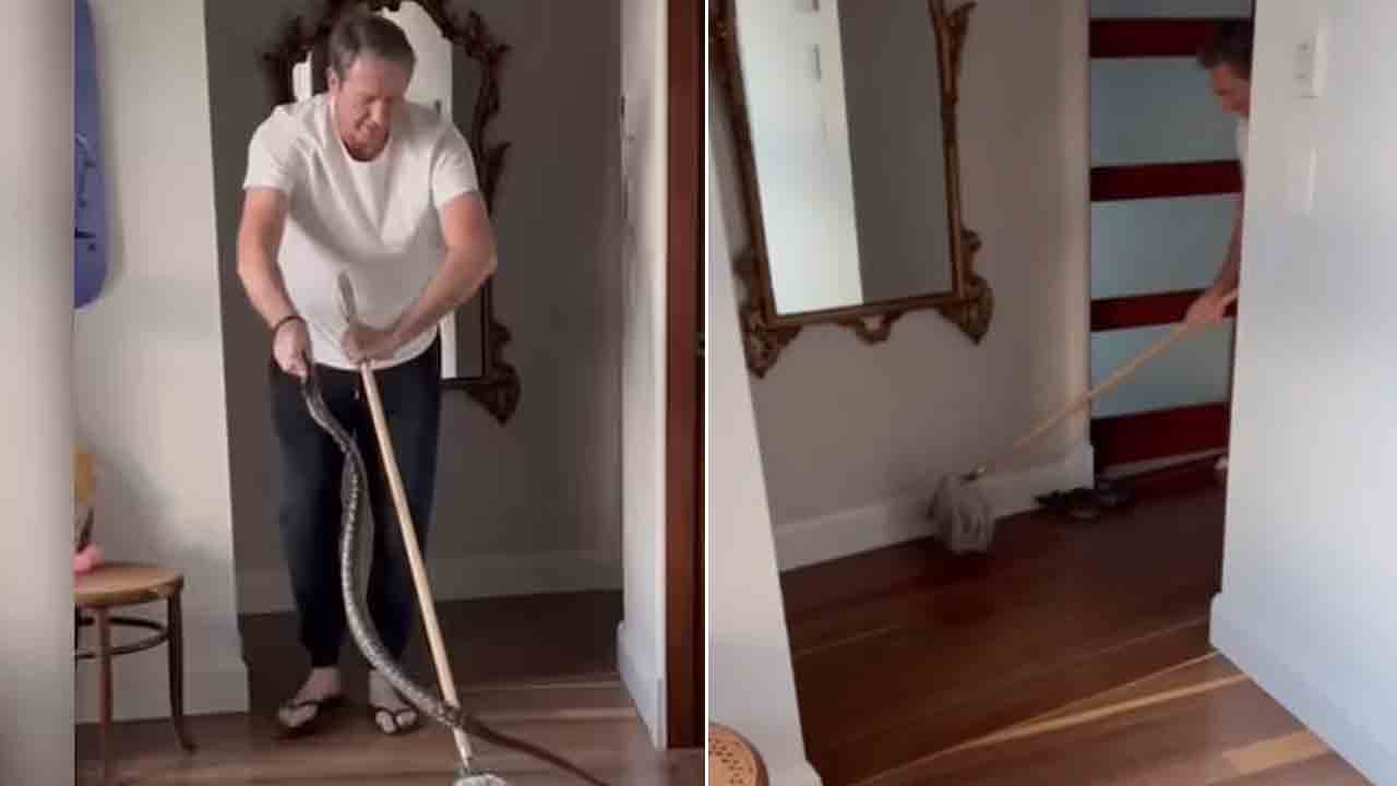 Python | ఇంట్లోకి దూరిన కొండచిలువను ఈజీగా పట్టేసిన క్రికెటర్‌.. వీడియో