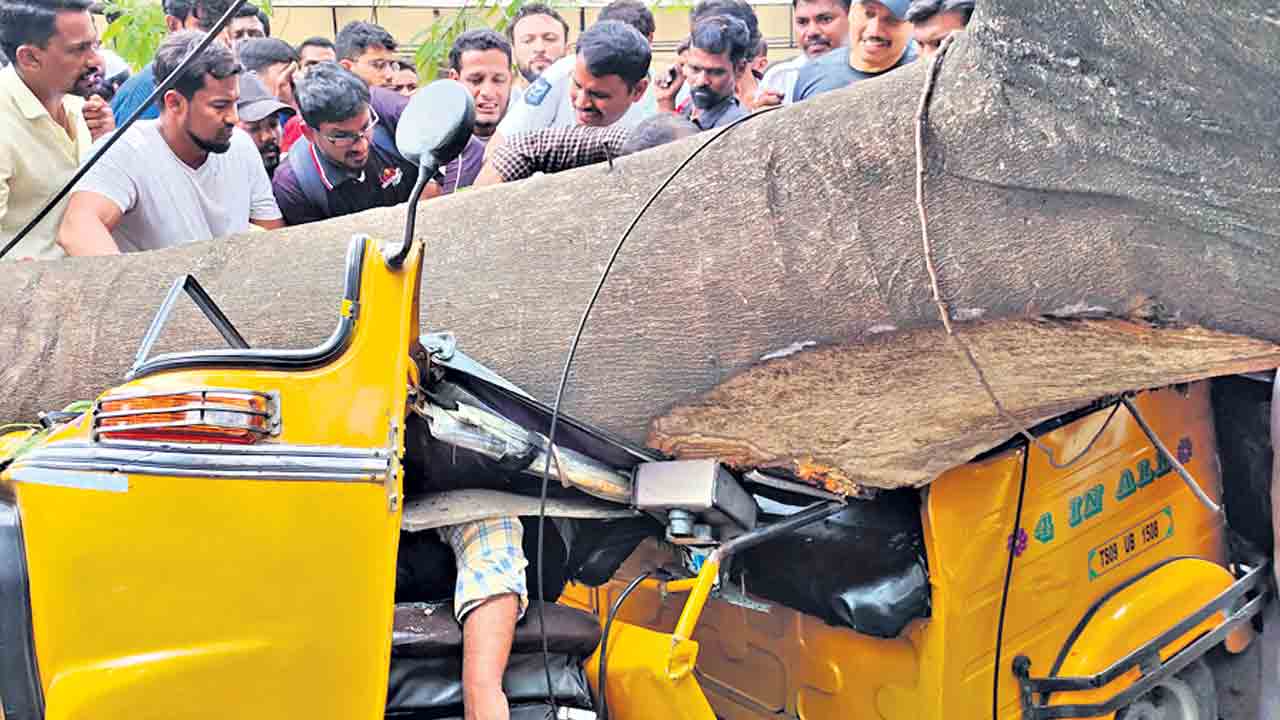 హైదర్‌గూడ సిగ్నల్‌లో కూలిన వృక్షం
