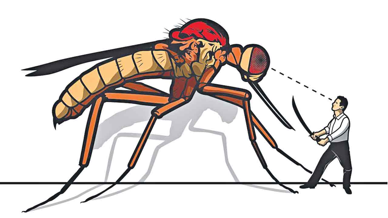 డెంగీపై అప్రమత్తం