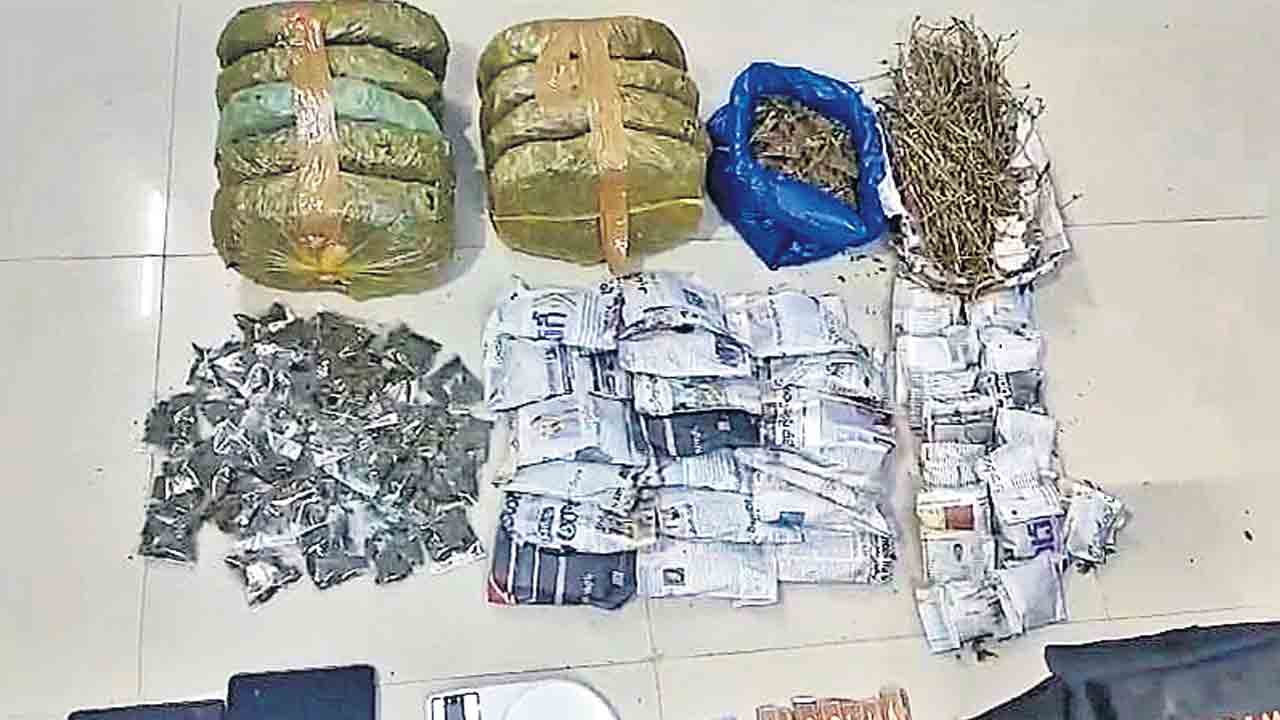 నార్సింగిలో గంజాయి పట్టివేత