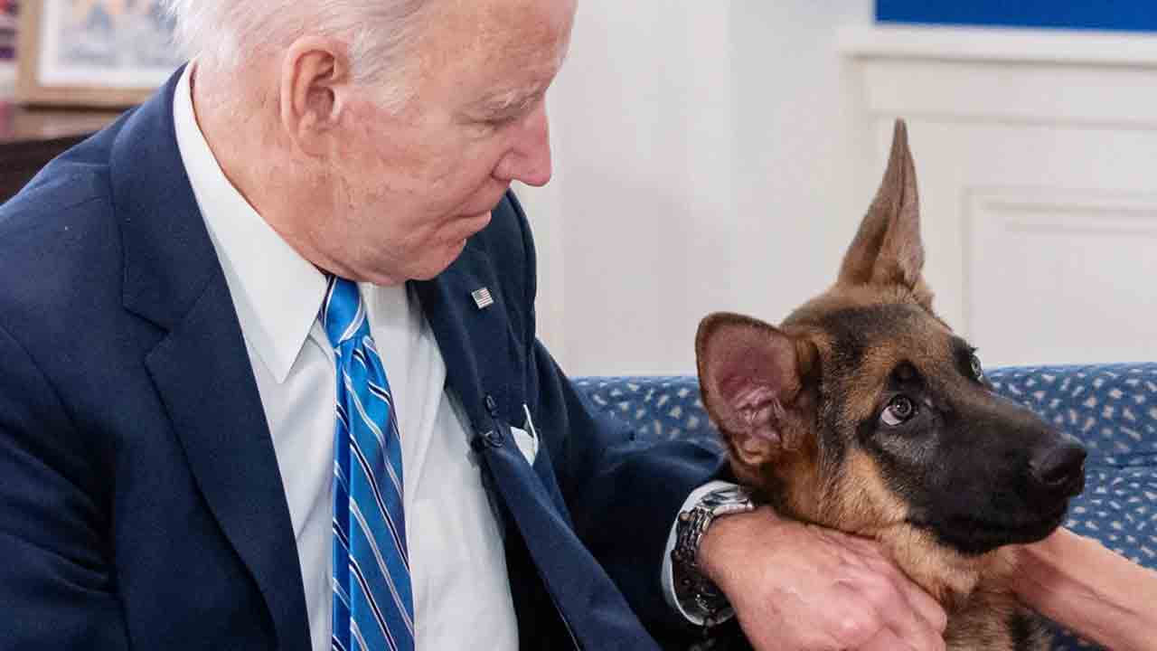 Joe Biden | మహిళా అధికారిణిని కరిచిన బైడెన్ పెంపుడు శునకం.. ఏడాదిలో 11వ ఘటన