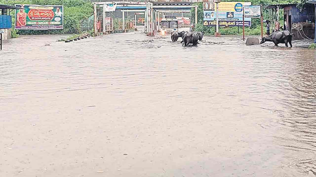 దంచికొట్టిన వాన