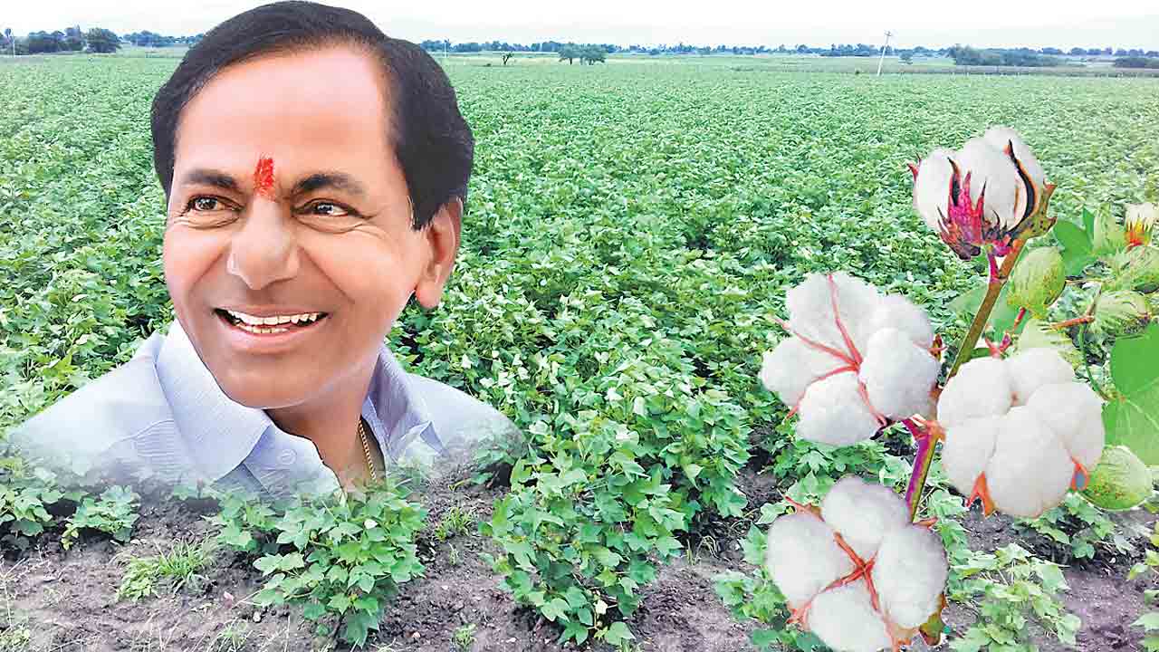 సరికొత్త రికార్డు..