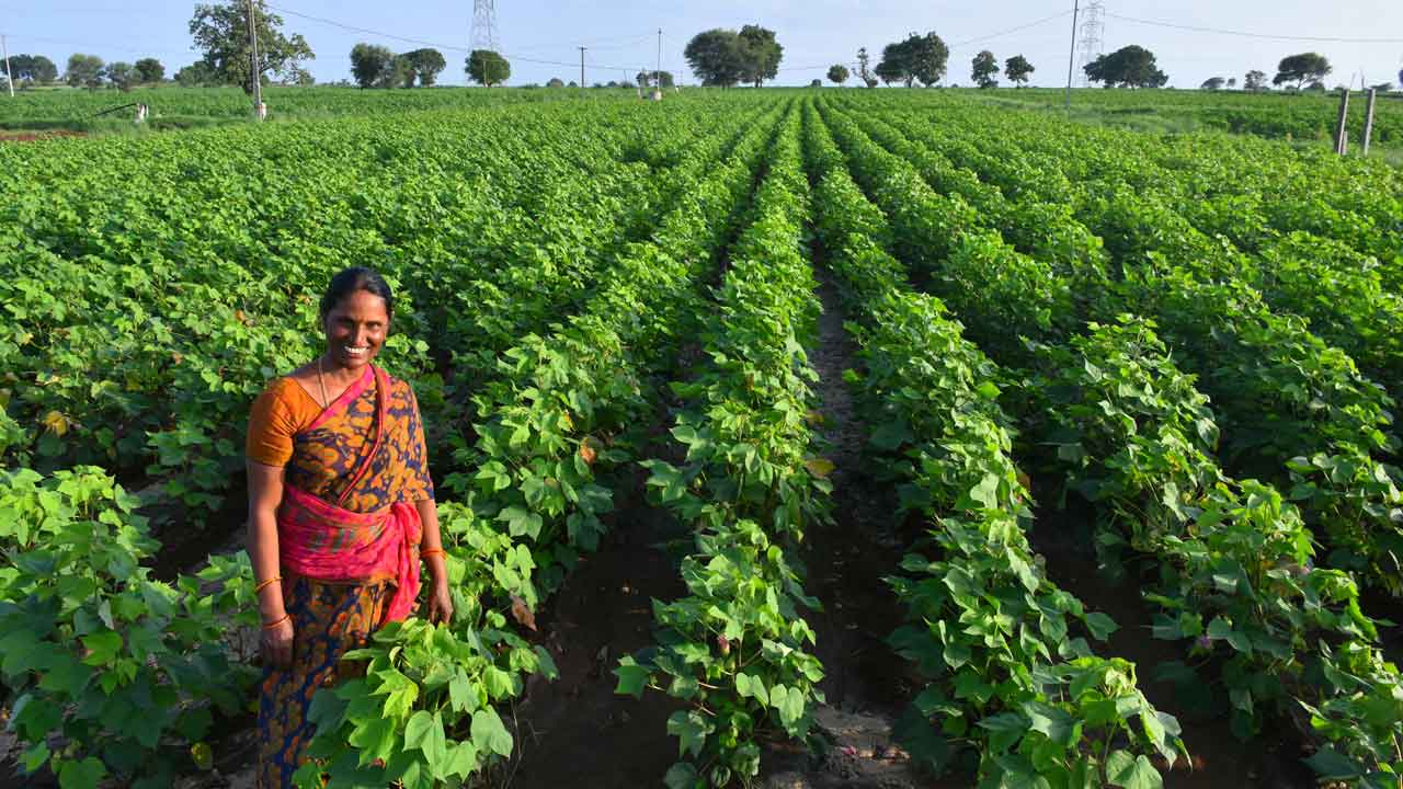 ఆమె..ఆదర్శం