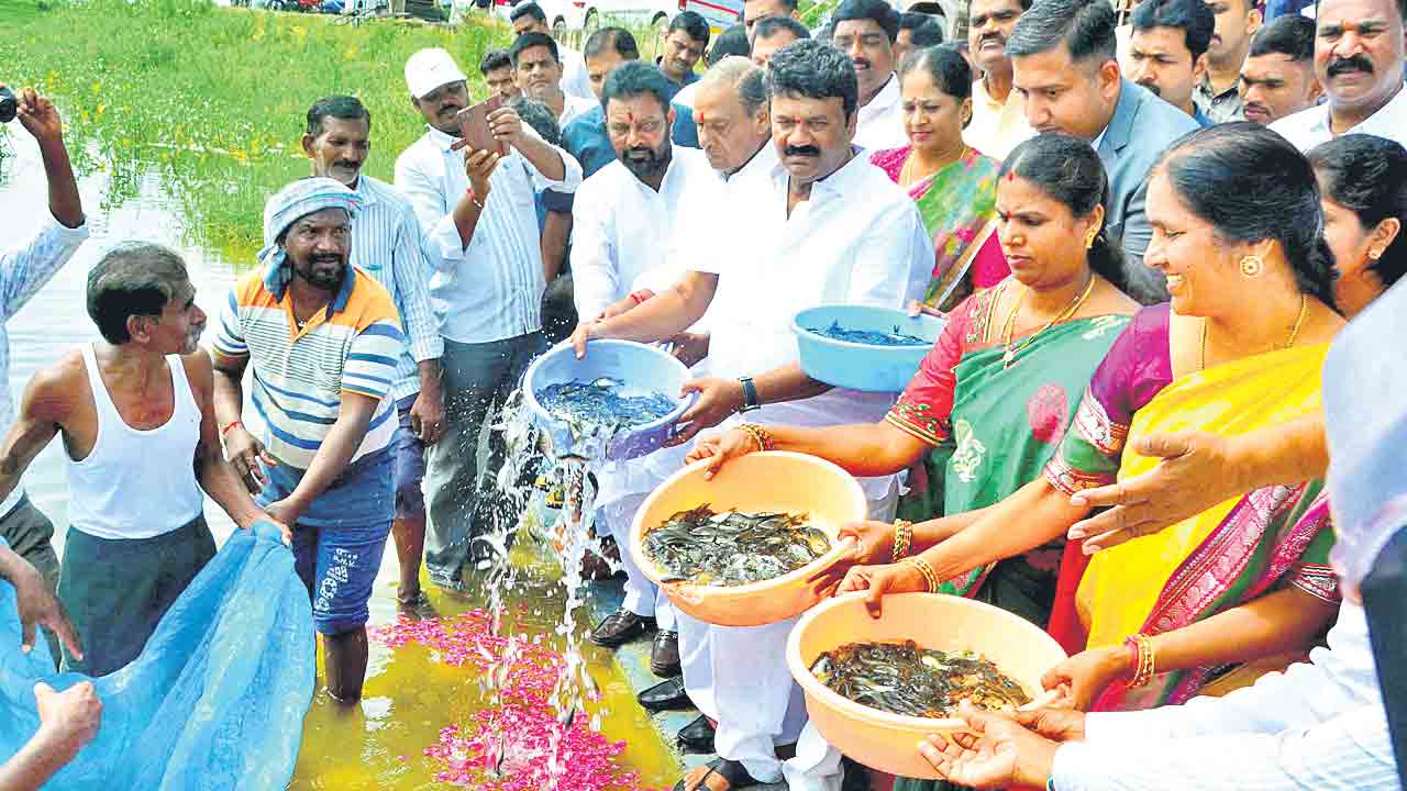 మత్ప్కకారుల ఉపాధికి ప్రభుత్వం చేయూత