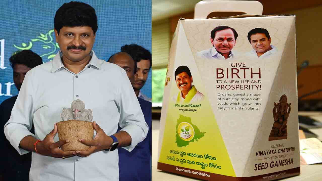 విత్తన వినాయకుడినే పూజిద్దాం