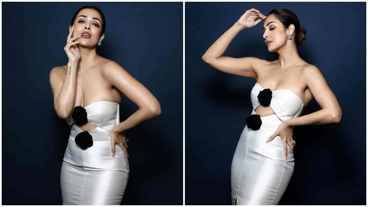 Malaika Arora | వైట్ కలర్ డ్రెస్‌లో మలైకా అరోరా ధగధగలు..