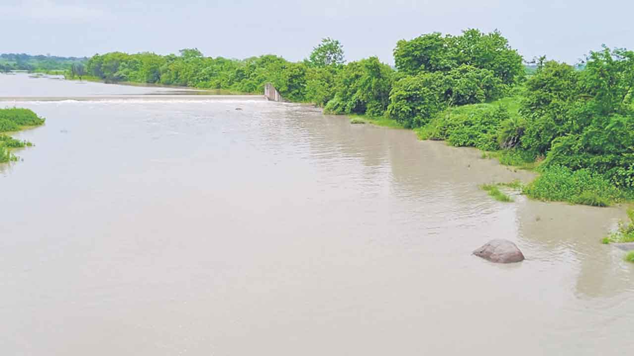 జీవనదిలా కూడవెల్లి