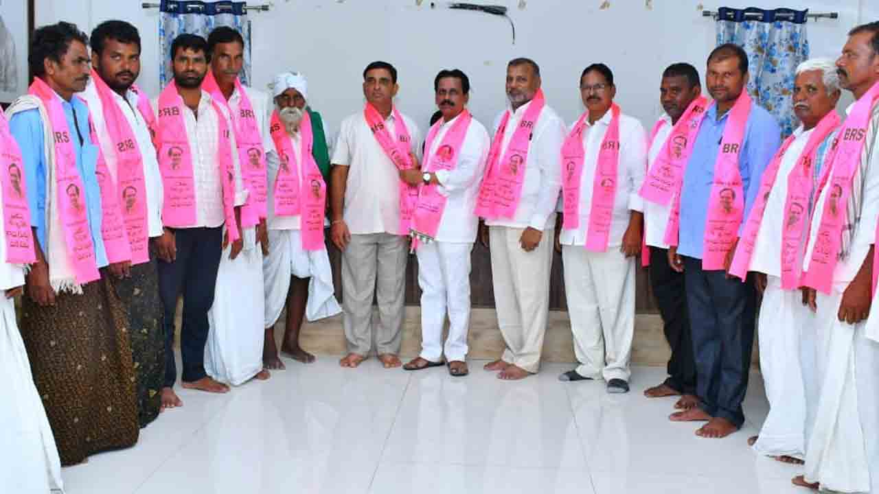 గులాబీ దుకుడు