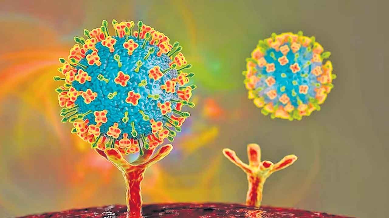 కేరళలో నిపా ఇద్దరు బలి