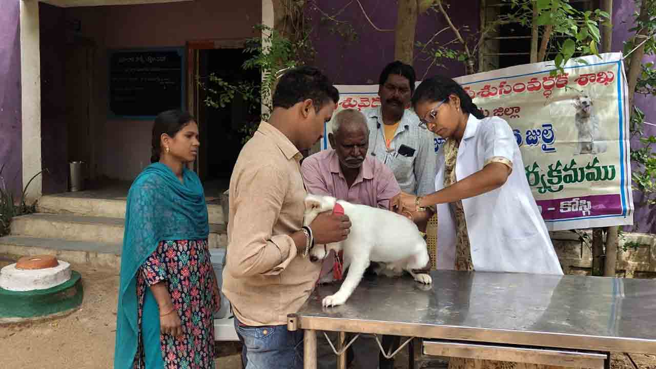 రేబిసు  బీ కేర్‌ఫుల్‌