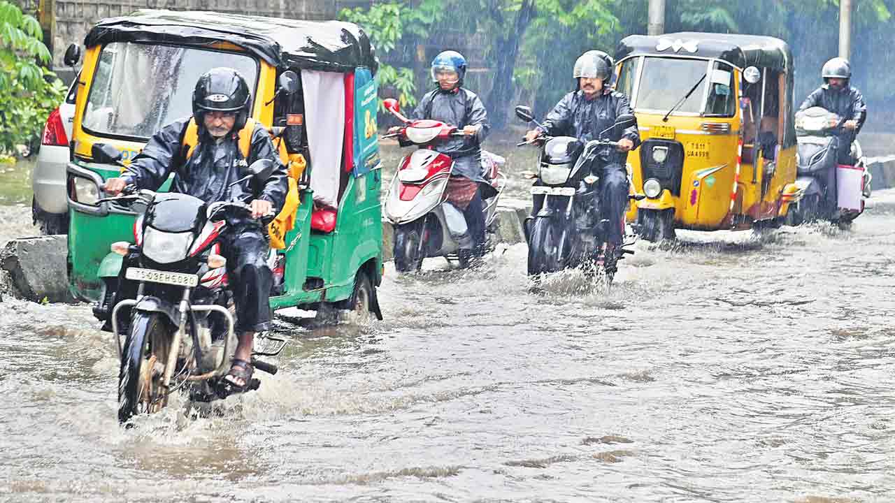 విస్తారంగా వానలు