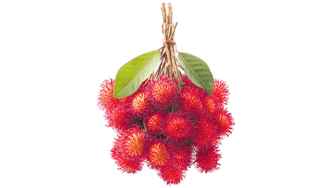 రాంబూటాన్‌ రుచి చూశారా?