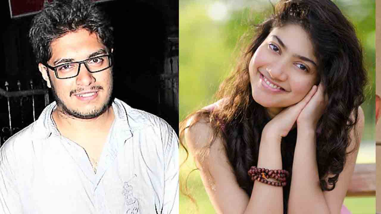 Sai Pallavi | స్టార్‌ హీరో కుమారుడి సినిమాలో సాయిపల్లవి.. బాలీవుడ్‌ ఎంట్రీ ఫిక్సయినట్టేనా..?