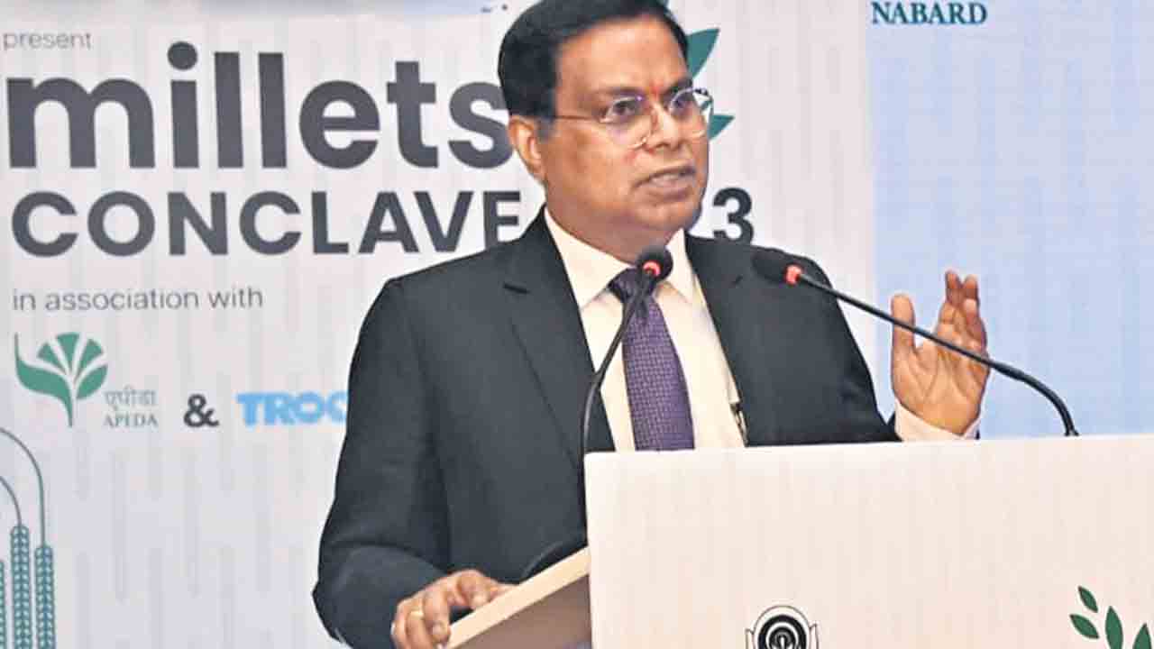 సుస్థిర సాగులోచిరుధాన్యాలు కీలకం