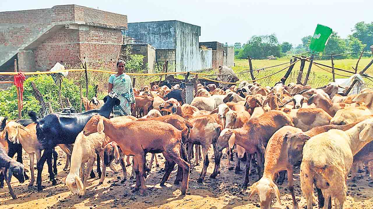 సర్కారు చల్లగుండాలె.. మళ్లీ సారే రావాలె