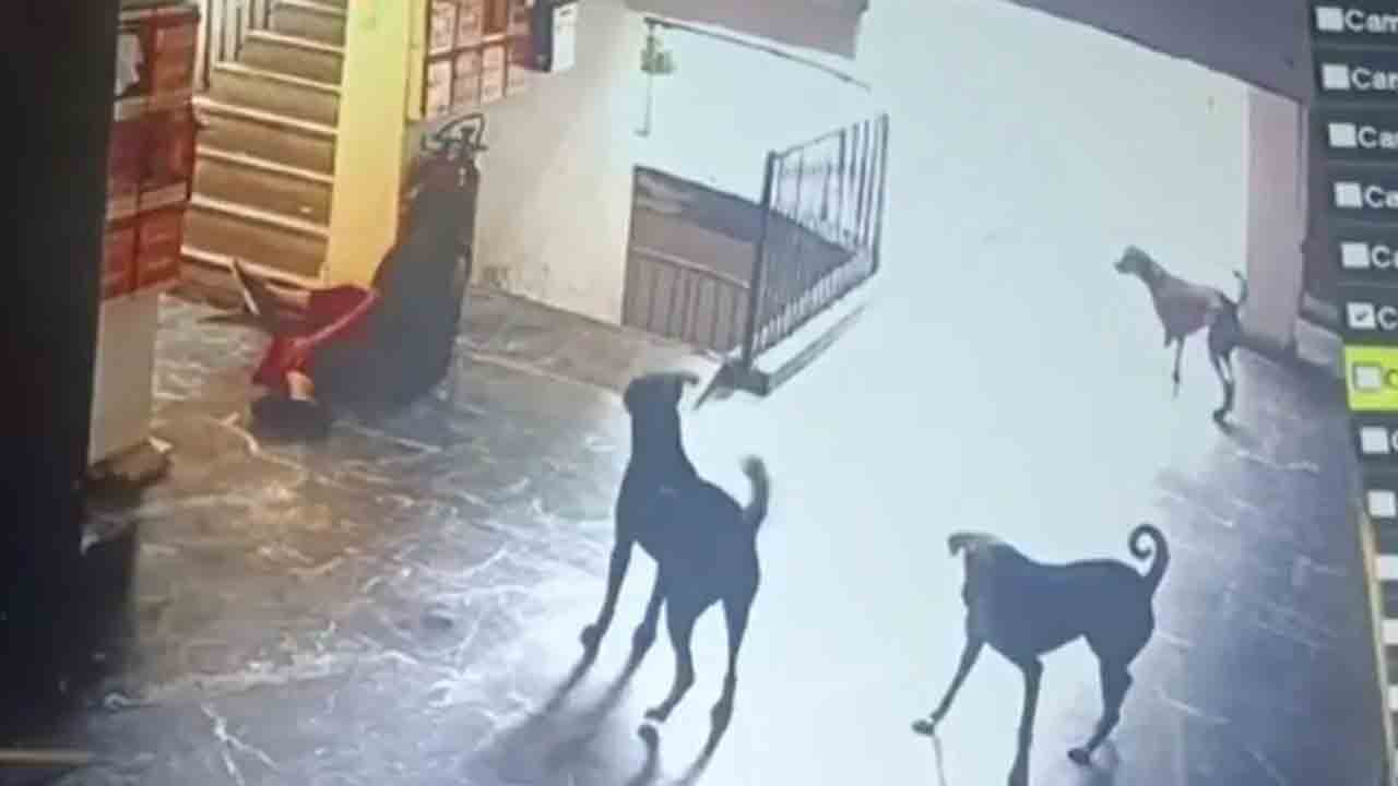 Stray Dogs Attack Woman | మహిళపై వీధి కుక్కలు దాడి.. కాలు విరగడంతో హాస్పిటల్లో సర్జరీ