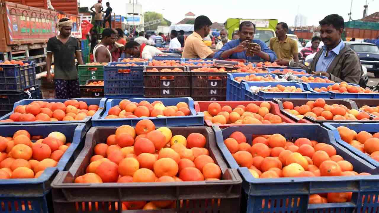 Tomato | టమాటా ధరలు భారీగా పతనం..కేజీ రూ.9 పలుకుతున్న వైనం