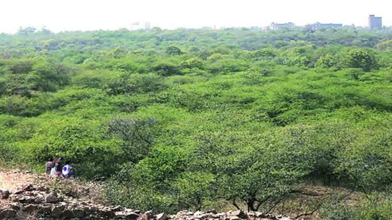 రాష్ట్ర వన్యప్రాణుల బోర్డు ఏర్పాటు