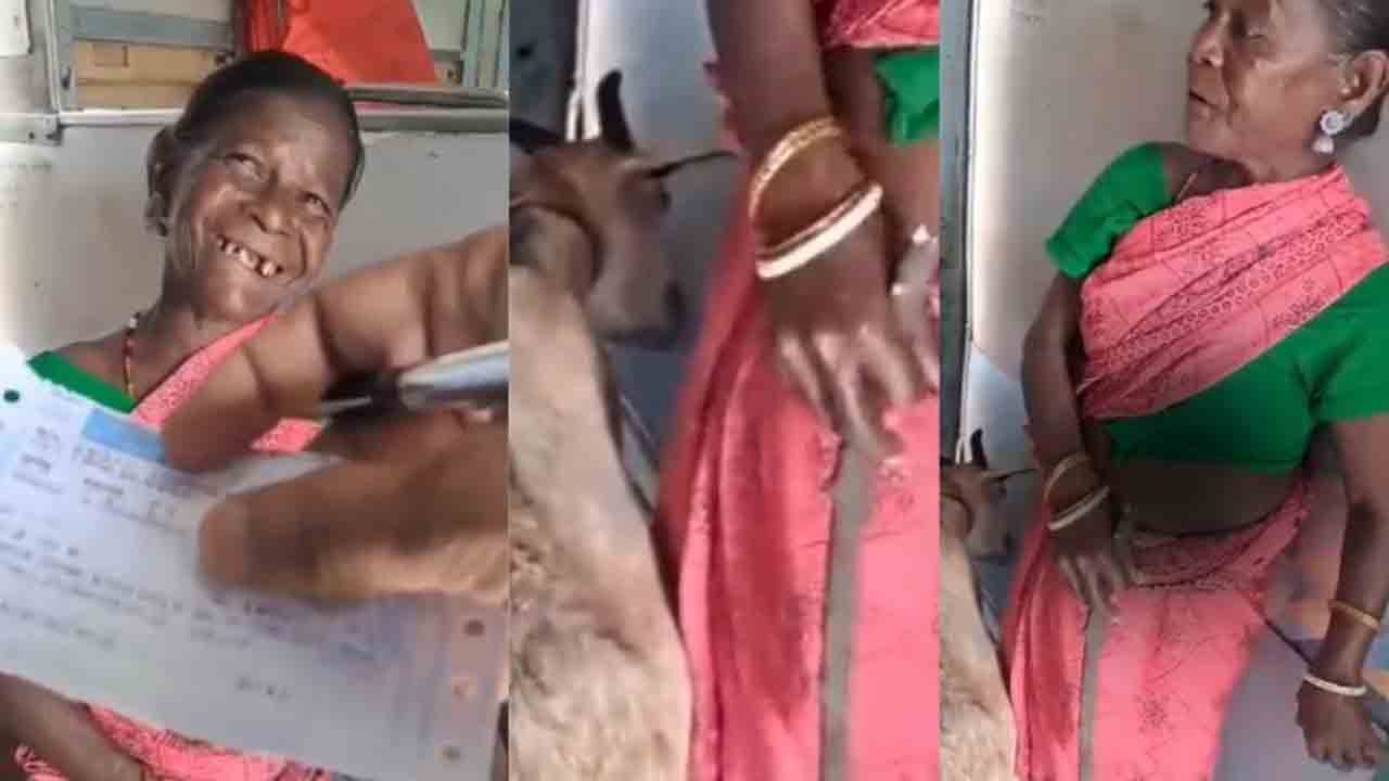 Watch: మేక కోసం కూడా రైలు టికెట్‌ తీసుకున్న మహిళ.. ఆశ్చర్యపోయిన టీటీఈ