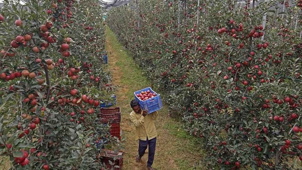 అమెరికా యాపిల్స్‌పై కూడా..