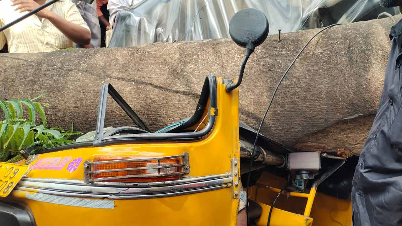 Hyderabad | హైద‌రాబాద్‌లో ఆటోల‌పై కూలిన భారీ వృక్షం.. డ్రైవ‌ర్ మృతి