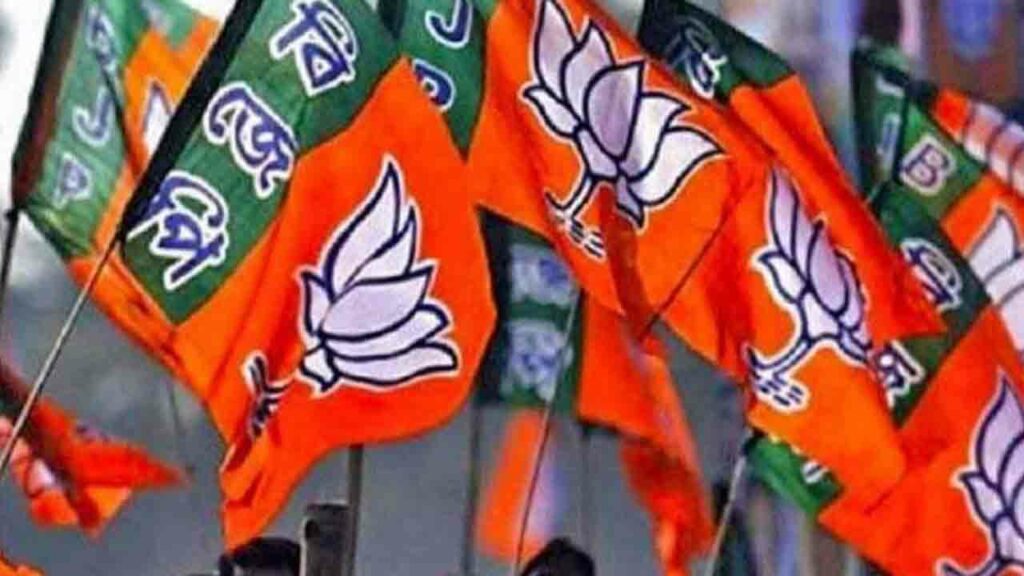 Bjp Flag