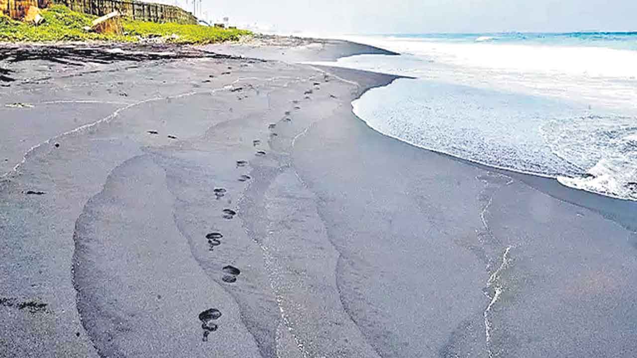 Vizag Beach | విశాఖ బీచ్‌లో మళ్లీ నల్లగా మారిన ఇసుక.. స్థానికులు, పర్యాటకుల్లో ఆందోళన
