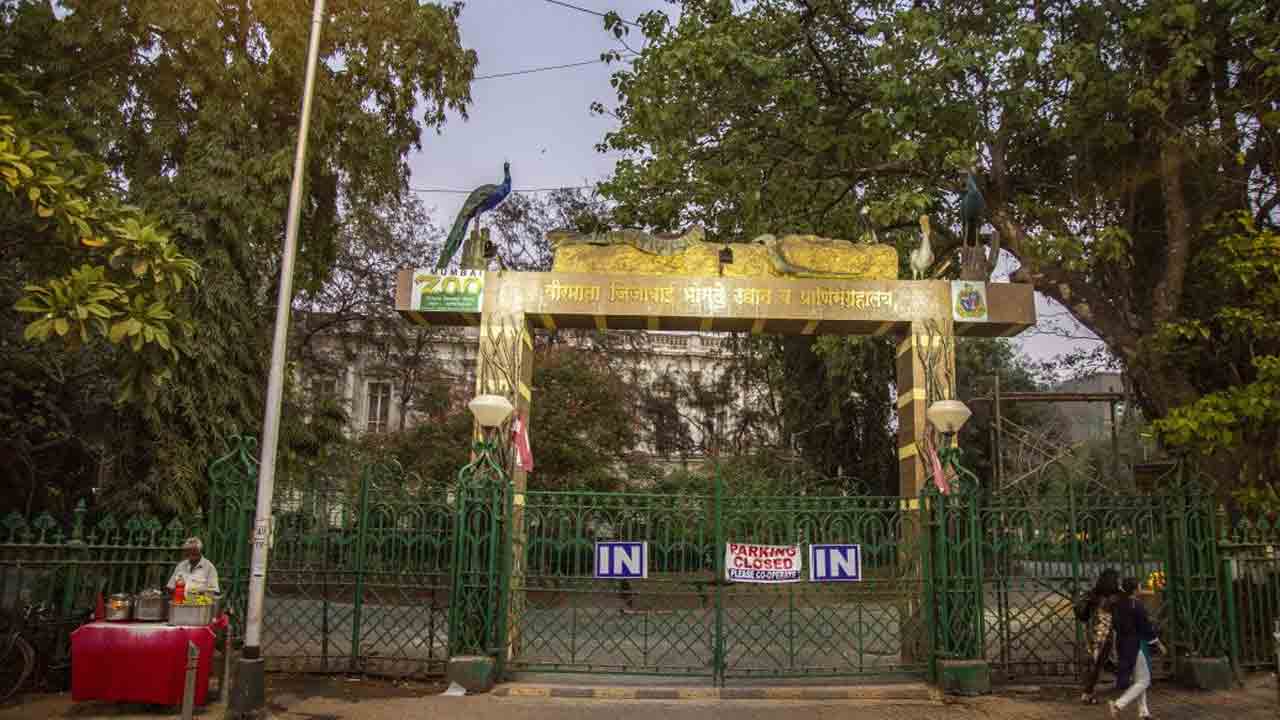 BMC | జంతువులు లేవు కానీ.. 20 కోట్లు పెట్టి బోన్లు కొన్నారు.. ముంబై కార్పొరేషన్‌ అధికారుల నిర్వాకం