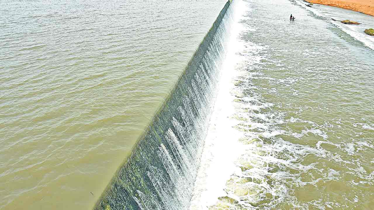 Telangana |  తొమ్మిదేండ్లలోనే పచ్చని మాగాణంగా తెలంగాణ