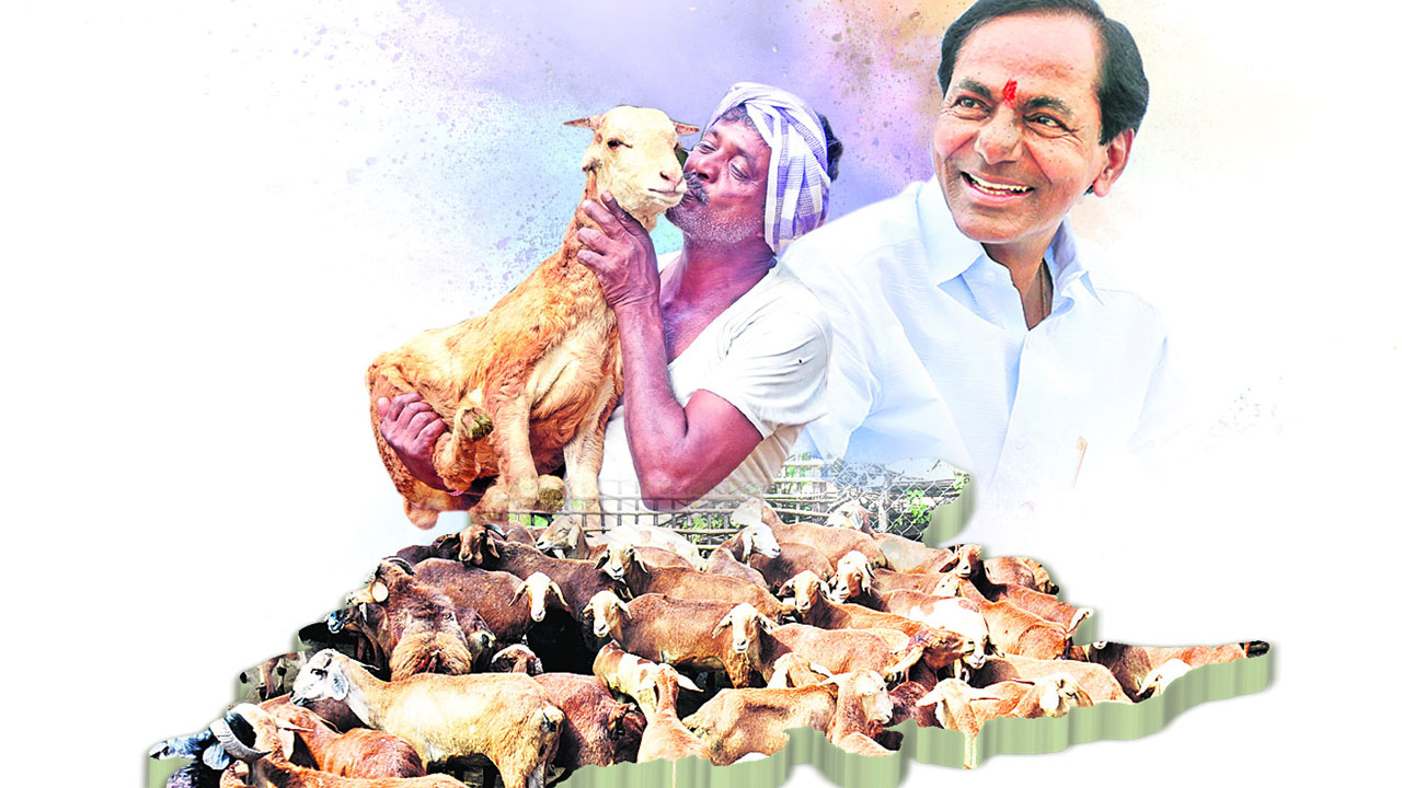 జీవాలతో కొత్త జీవితం