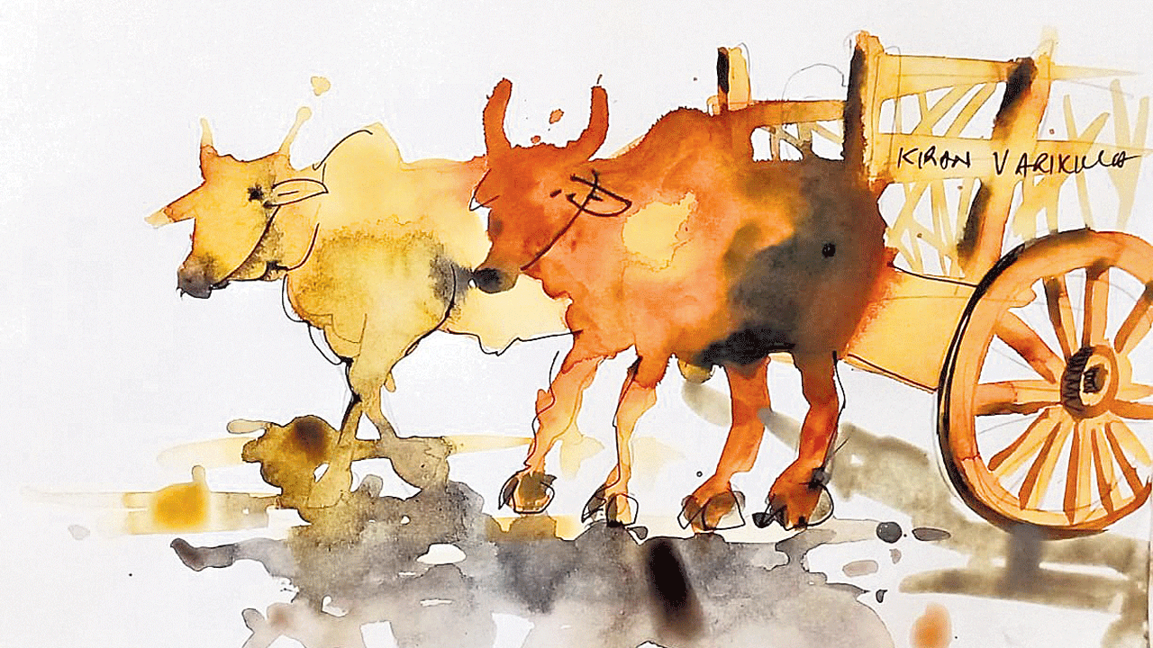 ఎద్దు కాలిగిట్టల శబ్దం