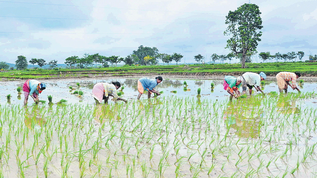 జలం పుష్కలం.. ఉపాదికి ఊతం