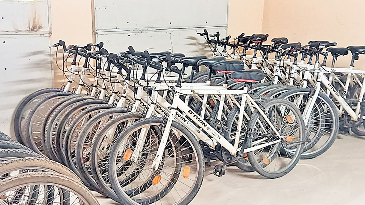 సైకిల్‌ తొక్కుదాం.. ఆరోగ్యంగా ఉందాం